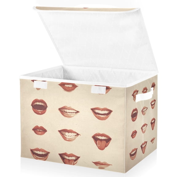 Foldable Fabric Storage Bin With Handle Collapsible Basket Box Storage With Lid Organizer Set Of Lips and Tongue