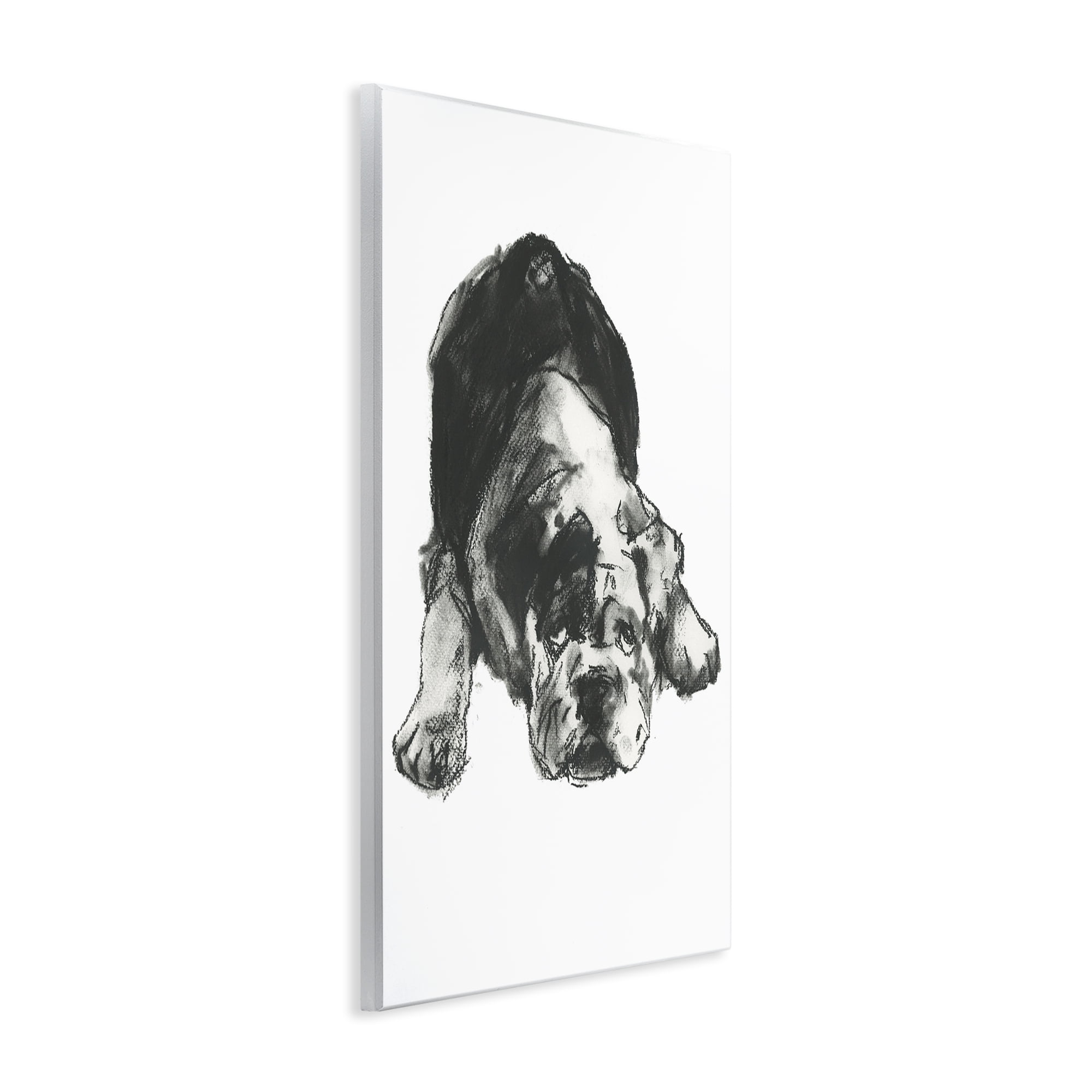Stupell Industries Bulldog Drawing Portrait Animals & Insects Drawing Unframed Art Print Wall Art, 13 x 19