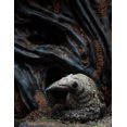 thumbnail image 3 of WETA Workshop Limited Edition Polystone - The Dark Crystal (1982) - Landstrider 1:6 Scale, 3 of 13