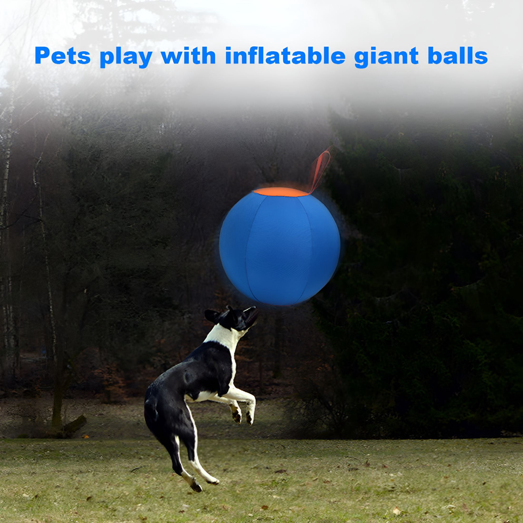 BESTSKY 2026 New Herding Dog Balls Horse Ball Toy Thickened Anti-Burst Ball Scratch-Resistant Training Ball Stimulates Senses Confidence Toy for Horses Cattle Dogs Blue