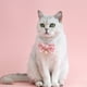 thumbnail image 5 of Collar de gato con perlas, delicado collar para perro con lazo, collar para cachorro, accesorio decorativo para perro, 5 of 7