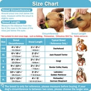 Dog Muzzle,Soft Mesh Covered Muzzles for Small Dogs,Poisoned Bait Protection Muzzle with Adjustable Straps,Prevent Biting Chewing and Licking,Black XS