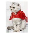 thumbnail image 4 of Chinese New Year Pet Costume TangSuit Cloak for Dog Festive Clothes Photoshoots Props Pet Dress Up Accessories, 4 of 9