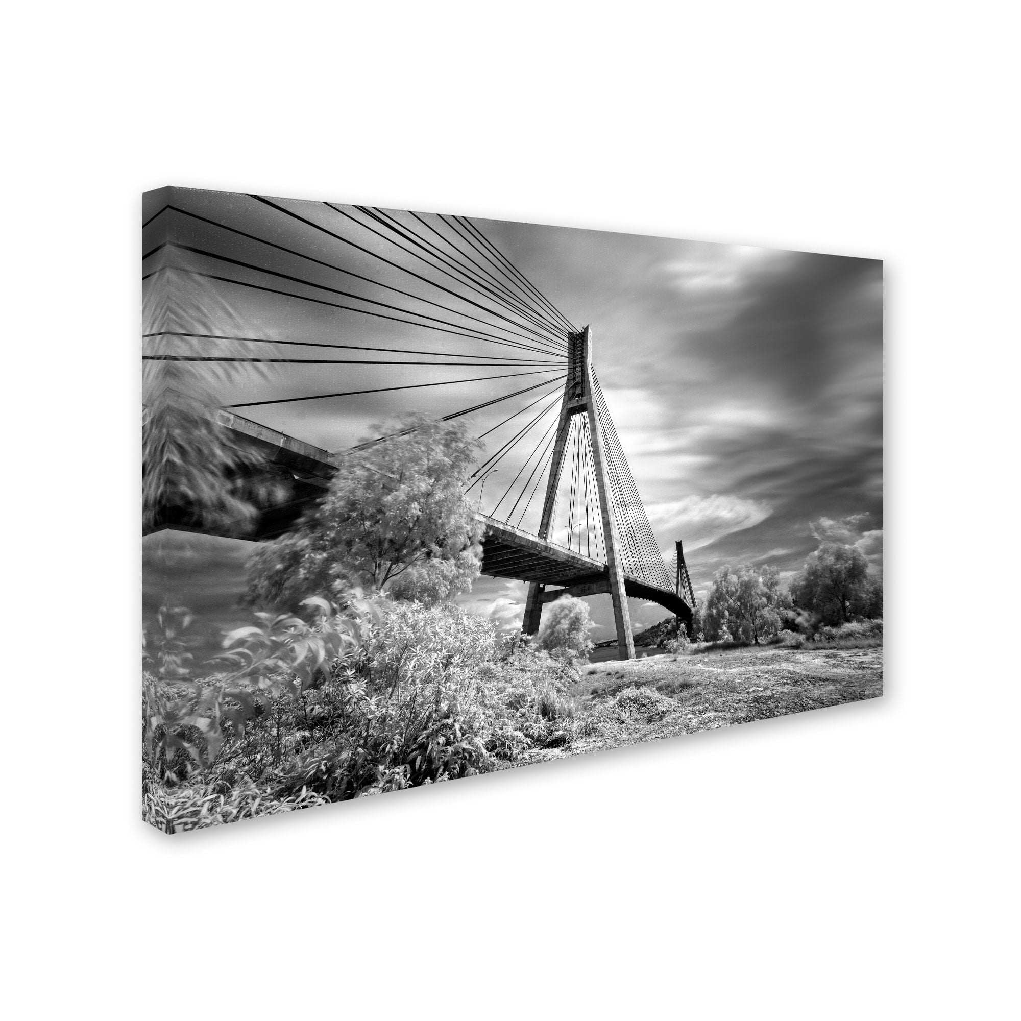 Trademark Fine Art "First Link" Canvas Art by Michael de Guzman