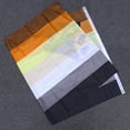 thumbnail image 2 of Drapeau Extérieur Fierté Ours en Polyester Résistant aux Intempéries Drapeau Arc-en-Ciel 90x150 cm, 2 of 8