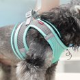 thumbnail image 4 of Kimpets Dog Harness Clothes Vest Chest Cat Collars Rope Small Dogs Reflective Breathable Adjustable Outdoor Walking Pet Supplies kimpets Official Store Round, 4 of 16