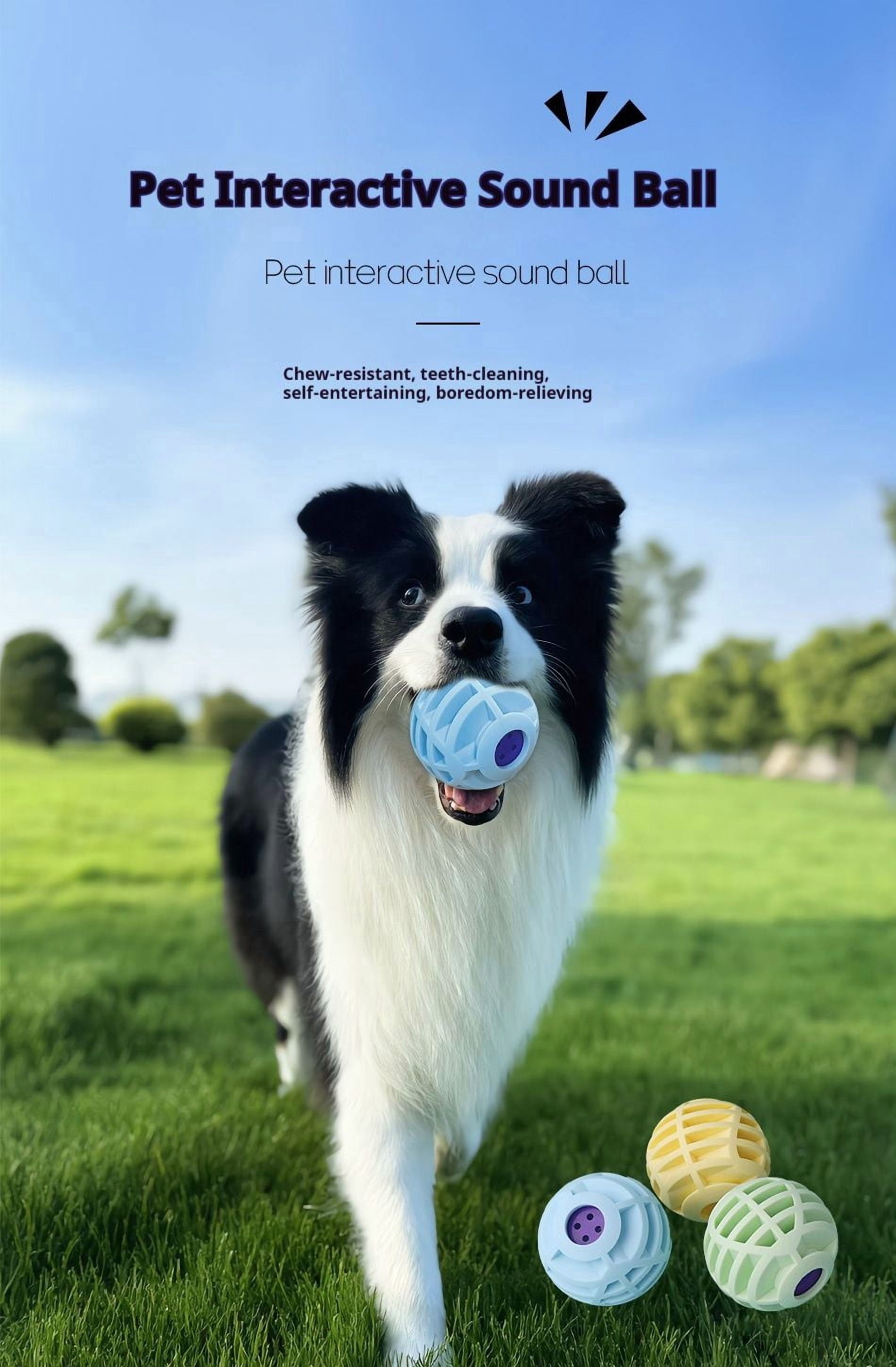 Food Grade Silicone Pet Interactive Sound Ball, Macaron Color Squeaky Toy, 76g Durable Chew Toy for Dogs Puppies Indoor Outdoor Play
