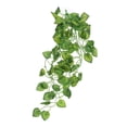 thumbnail image 1 of Terrarium planta decoración reptil planta terrario paisaje hojas reptil terrario decoración, 1 of 7