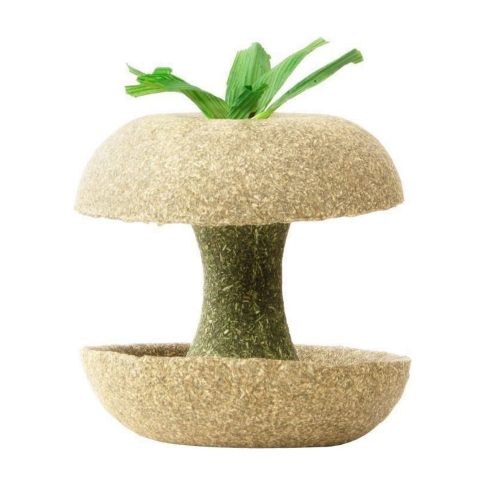 Guinea Pig Chew Toys Natural Rabbit Chew Toys Hamster Molar Teeth Toys, Mushroom & Tree Shaped Habitat Decoration, Small Animal Toys