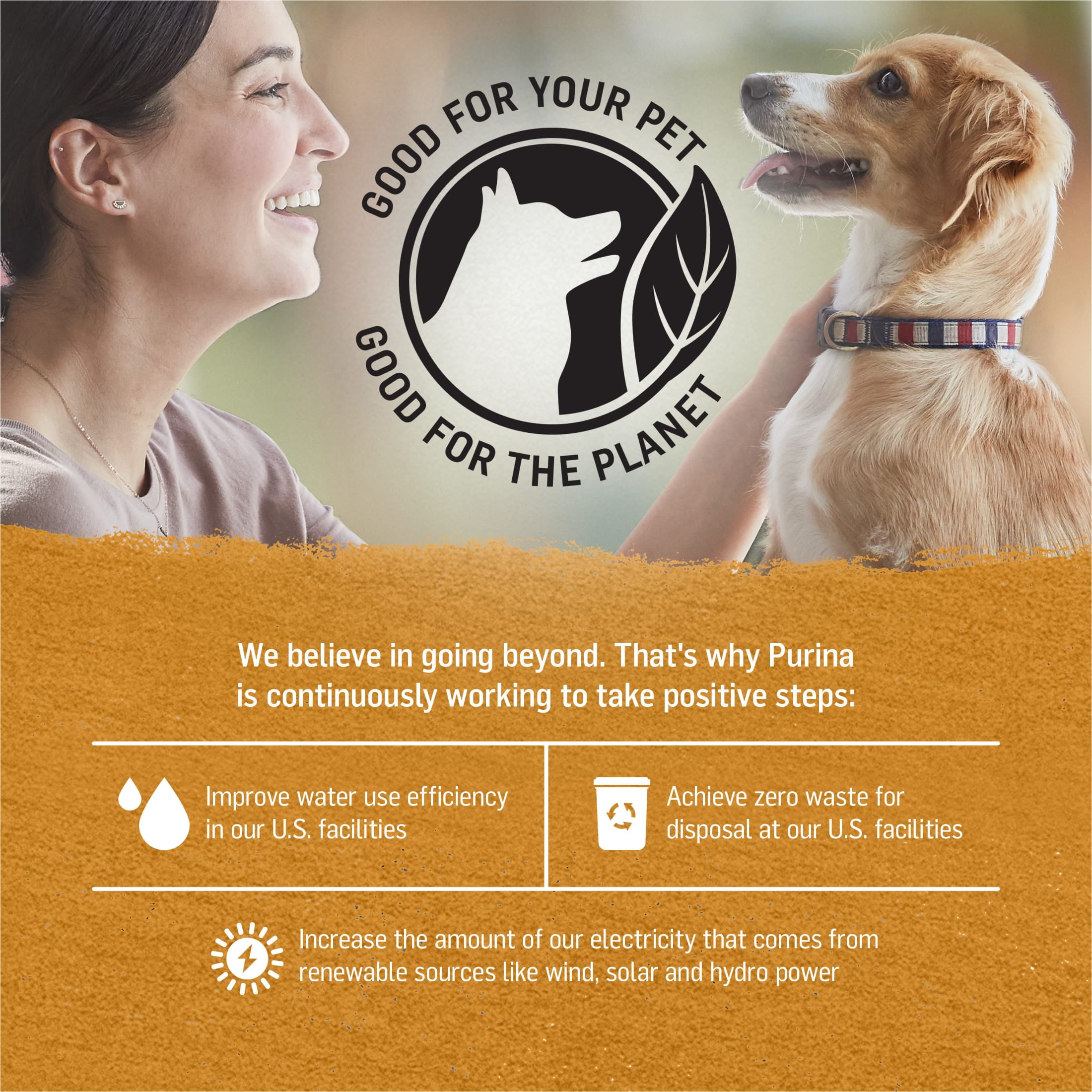 Purina Beyond Grain-Free Wet Dog Food in Gravy Soft Chicken & Sweet Potato, 12.5 oz Can