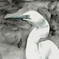 thumbnail image 2 of Caroline, Emma 26x26 Gold Ornate Wood Framed with Double Matting Museum Art Print Titled - Solemn Egret II, 2 of 4
