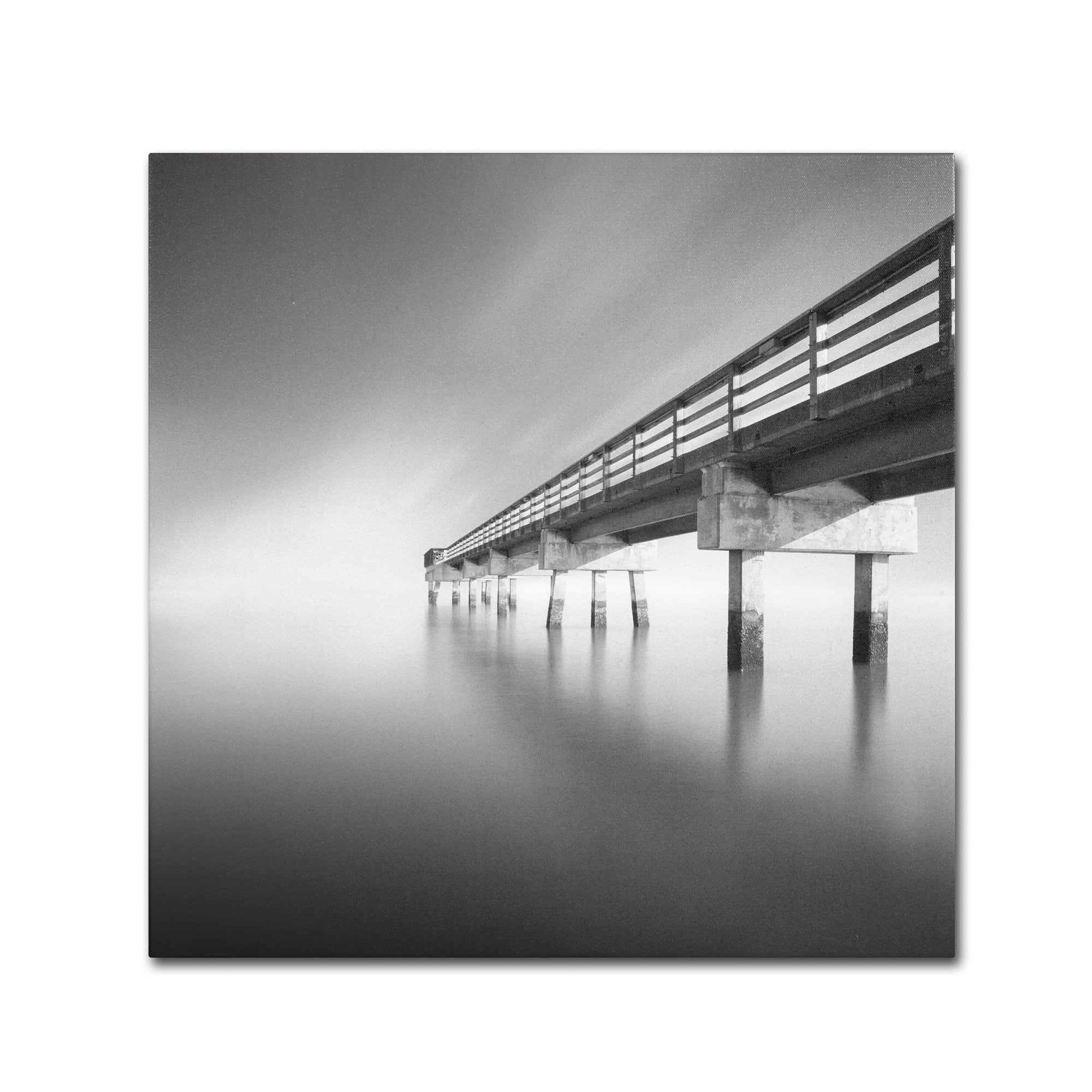 Trademark Fine Art "Infinity" Canvas Art by Moises Levy