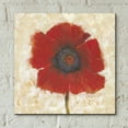 thumbnail image 5 of Epic Art 'Red Poppy Portrait II' by Tim O'Toole, Acrylic Glass Wall Art, 12"x12", 5 of 7