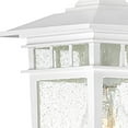 thumbnail image 2 of Nuvo 60-4951 - Cove Neck - 1 Light - 12" Outdoor Hang W/ Clear Seed Glass, 2 of 10