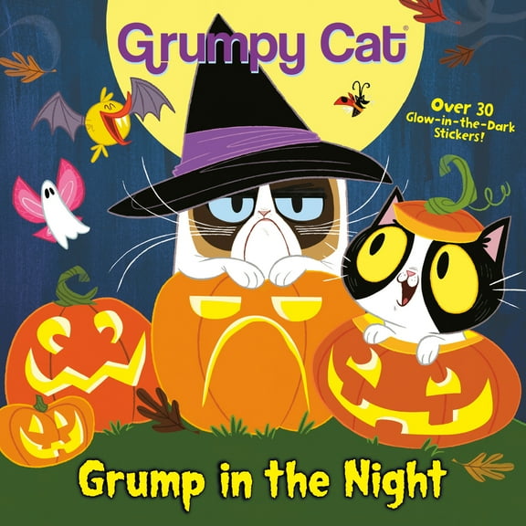 Pre-Owned Grump in the Night (Grumpy Cat) (Paperback) 1984851373 9781984851376