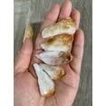 thumbnail image 2 of 1.25- 2.25" Brazilian Rough Citrine Point, Success Stone, 2 of 5