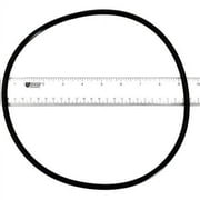Hydroseal Replacement O-Ring for Clean and Clear Predator Body, 9-1/2in. OD 87300400Z