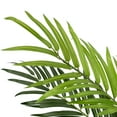 thumbnail image 5 of Northlight 3.9' Unlit Green and Black Potted Artificial Phoenix Palm Tree, 5 of 7