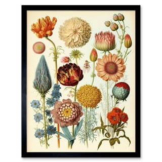 Vintage Botanical Plant Wall Art Flower Poster Prints Decor, Rustic  Wildflowers Posters Wall Art Cottagecore Fairycore Room Decor, Herbarium  Posters