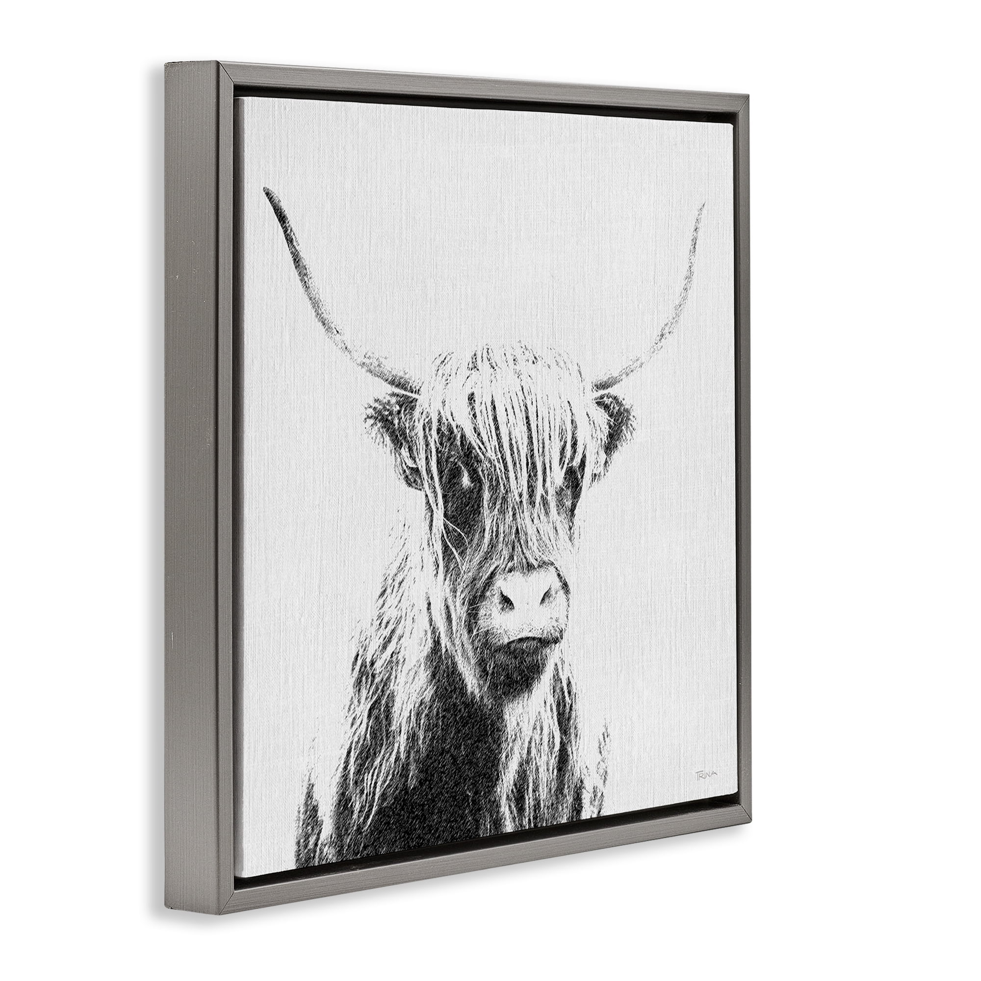 Stupell Industries Longhorn Sketch in Grey Animals Painting Gray Floater Framed Canvas Art Print Wall Art, 18 x 18