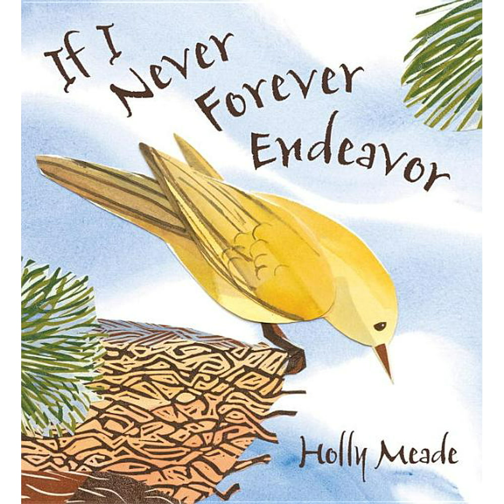 book review if i never forever endeavor