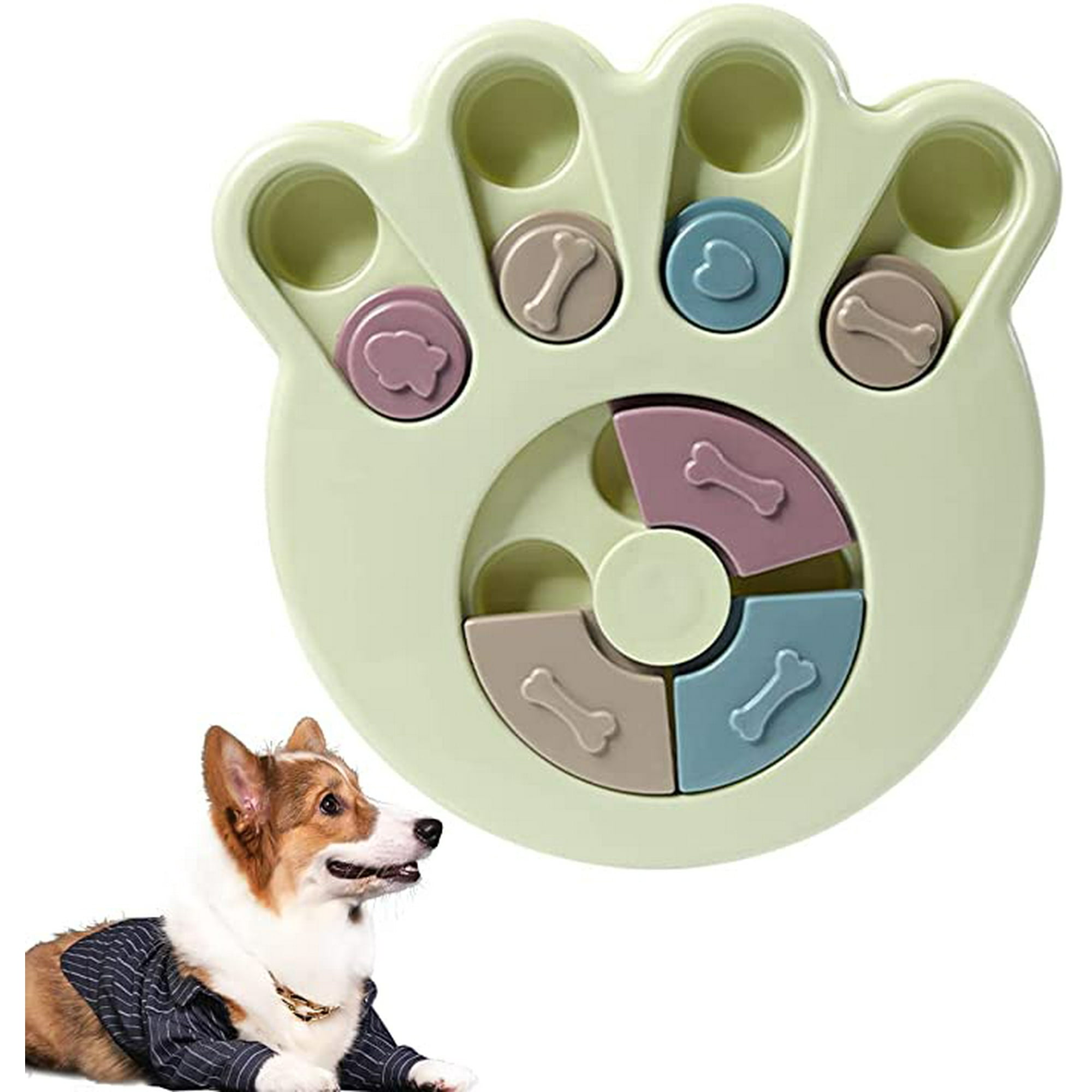 At What Age Do Dogs Start Slowing Down