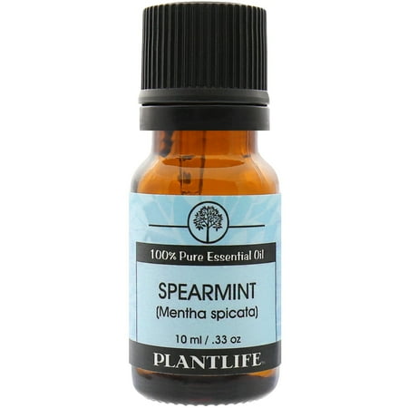 Plantlife Spearmint Aromatherapy Essential Oil - Straight From The Plant 100% Pure Therapeutic Grade - No Additives or Fillers - 10 ml