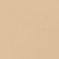 118 Light Beige