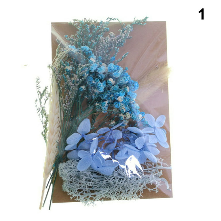 Dried Flowers For Candle Making Natural Pressed Flowers Colorful DIY Art  Floral Decors Collection Gift Craft 1 