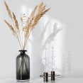 thumbnail image 3 of 72Pcs Artificial Eucalyptus Stems Black Eucalyptus Leaves for vase Black Artificial Flowers for Black Halloween Branches Decor Wedding Bouquet Centerpiece Floral Arrangement Home Decoration, 3 of 6