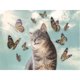 thumbnail image 2 of Cuadros Decorativos Bordado completo 11CT punto de cruz estampado Kits gato y mariposa DIY decoración artesanal Ndcxsfigh Nuevos Originales, 2 of 8
