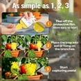 thumbnail image 6 of Gnat Traps for Potted Plants, Fungus Gnat Whitefly Killer Double-Sided Yellow Sticky Trap Fruit Fly Catchers for Indoor/Outdoor Plants, Ideal for Houseplants, Home, Garden, and Greenhouse - 30 Traps, 6 of 7