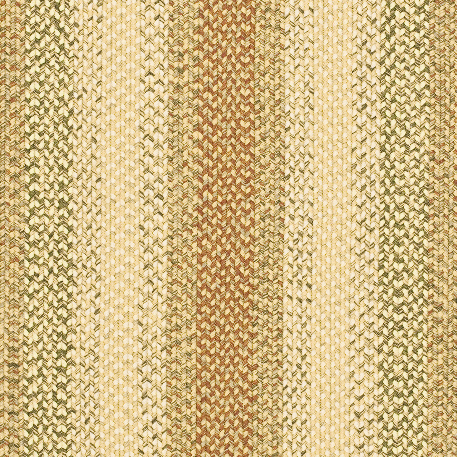 SAFAVIEH Braided Cirino Colorful Bordered Area Rug, Rust/Multi, 8' x 8' Round