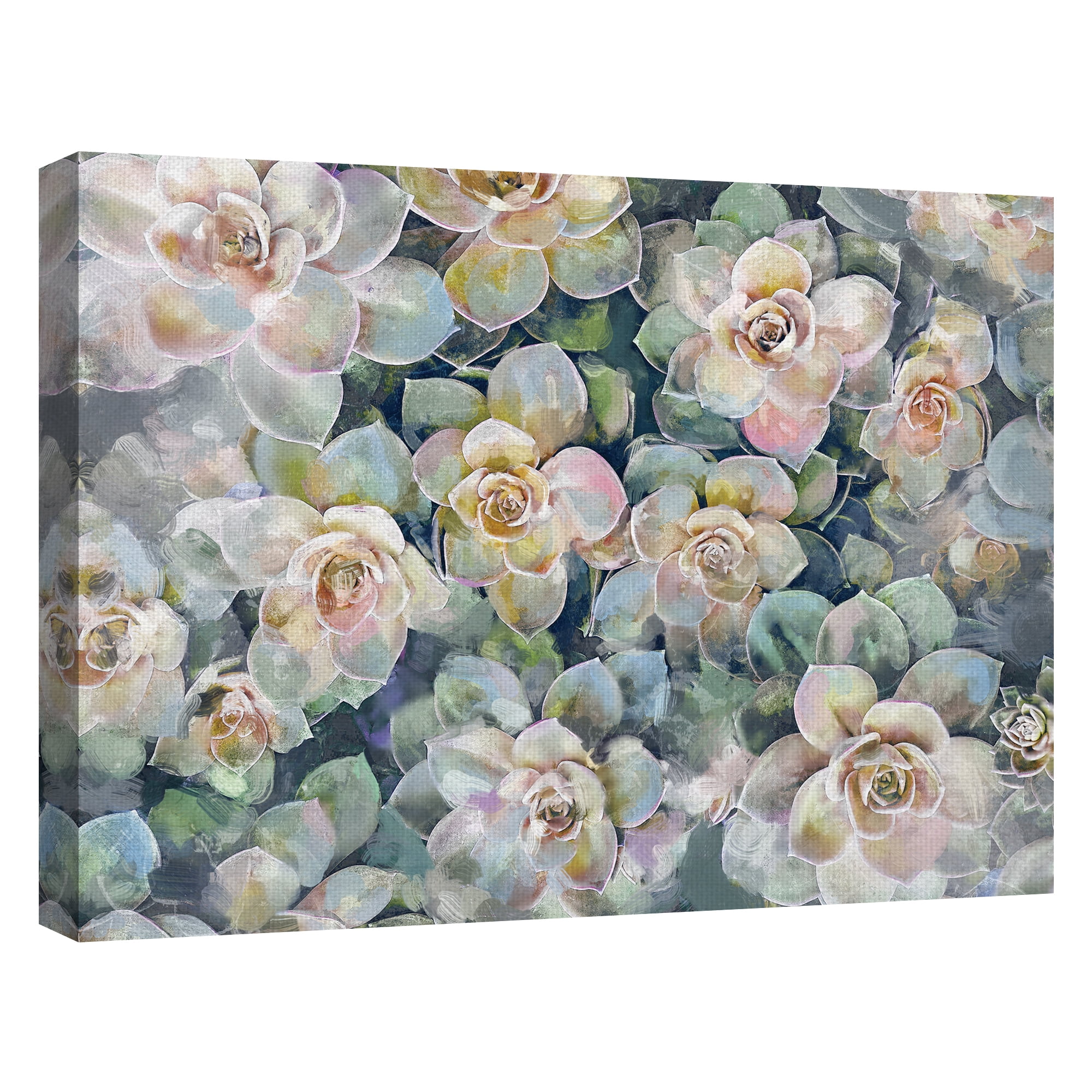 Fine Art Canvas Oasis Succulent Garden by Studio Arts Canvas Art Print