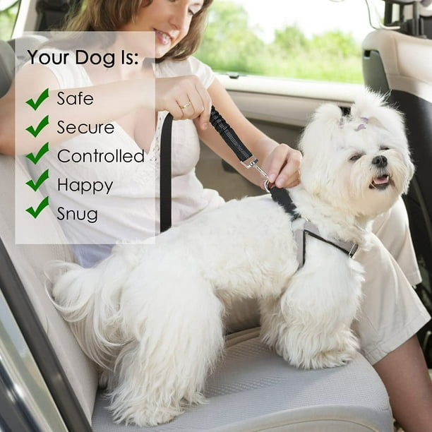 Laisse I-Dog avec boucle ceinture de sécurité - Laisse pour