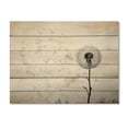thumbnail image 3 of Designart " Dandelion Natures simplicity I" Floral Print on Natural Pine Wood, 3 of 5
