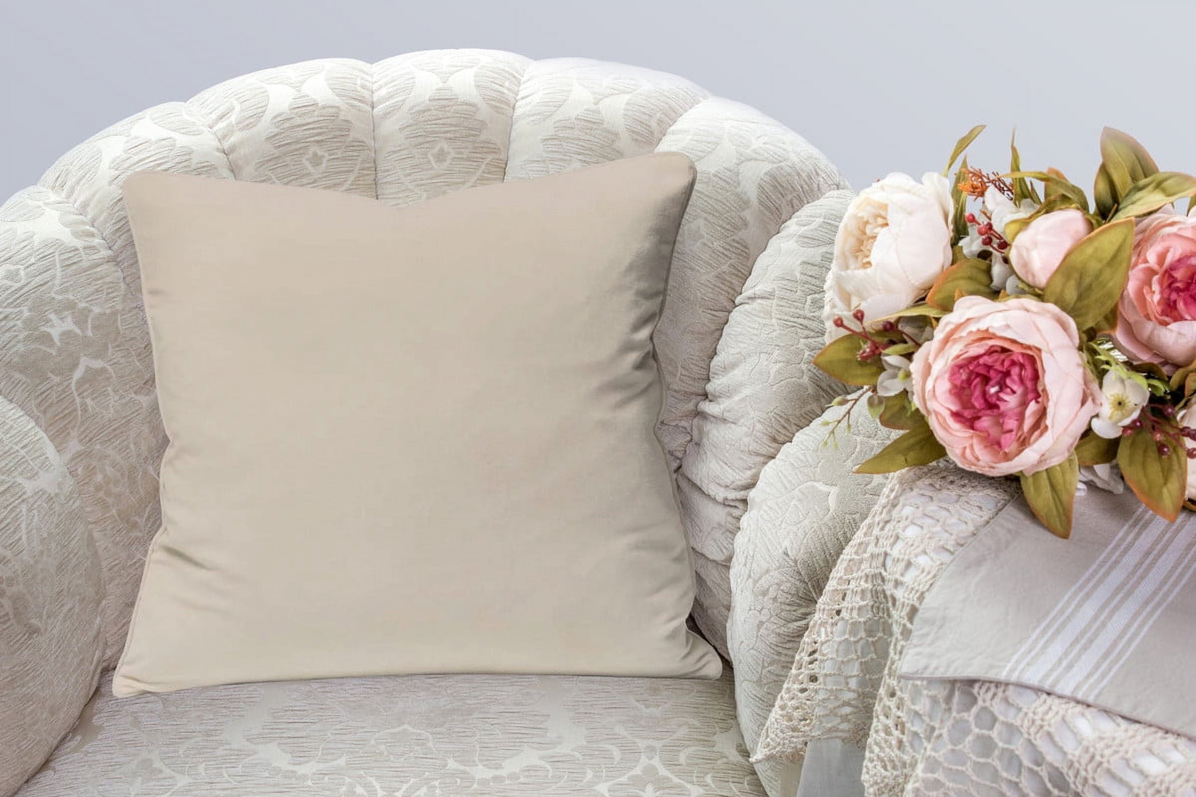 A1HC Set of 2 Luxurious Soft Velvet Throw Pillow Covers Only, 20"x20", Beige, Decorative Cushion Covers with Hidden YKK Zipper for Sofa or Bed