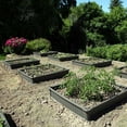 thumbnail image 3 of The 4' x 4' Lifetime Raised Garden Bed, 3 of 9