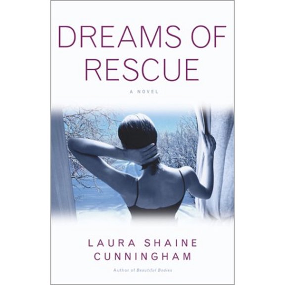 Pre-Owned Dreams of Rescue: A Novel (Hardcover) 0743436482 9780743436489