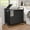 Black-4Sec, variant on Laundry Sorter 4 Sections 48 Gal, Rolling Laundry Basket with Lockable Wheels and Lid, Laundry Hamper with 4 Separated Removable Bags Dirty Clothes Hamper for Laundry Room Organizer, Green