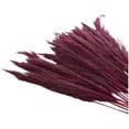 thumbnail image 5 of 35" Dried Plant Natural Foliage Pampas Bouquet with Long Stems, by DecMode, 5 of 8