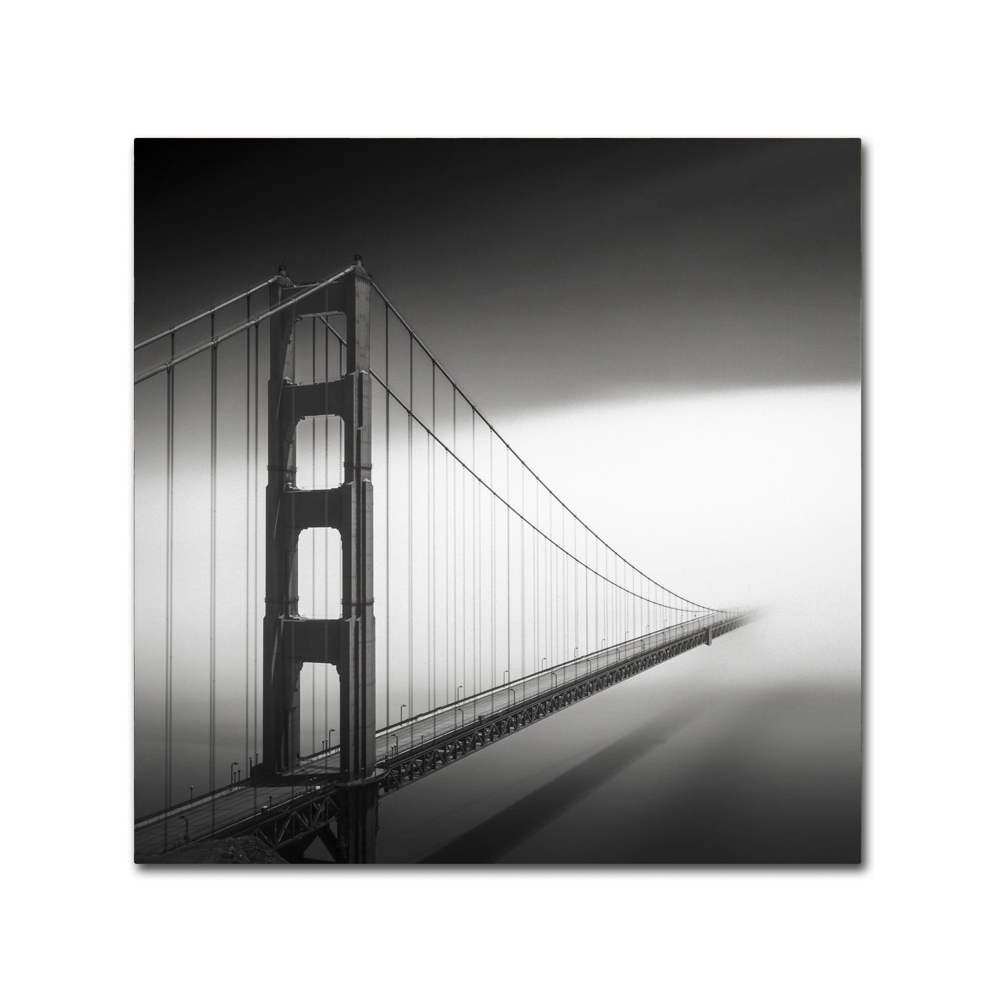 Trademark Fine Art "Into The Mystic" Canvas Art by Dave MacVicar
