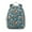 Boxer Dog Pitbull, variant on Boston Terrier Backpack for School,Cute School Bag,Schoolbag with Adjustable Shoulder Straps & Padded Back,15"x11.42"x5.5"