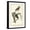 Black Frame, variant on Art.com Night Heron Art Print by John James Audubon, 12" x 18"