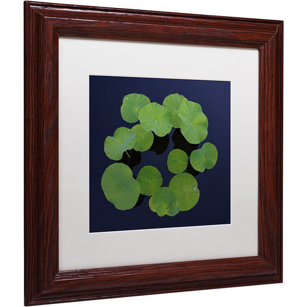 Trademark Fine Art "Giant Lily Pad Abstract" Canvas Art by Kurt Shaffer White Matte, Wood Frame