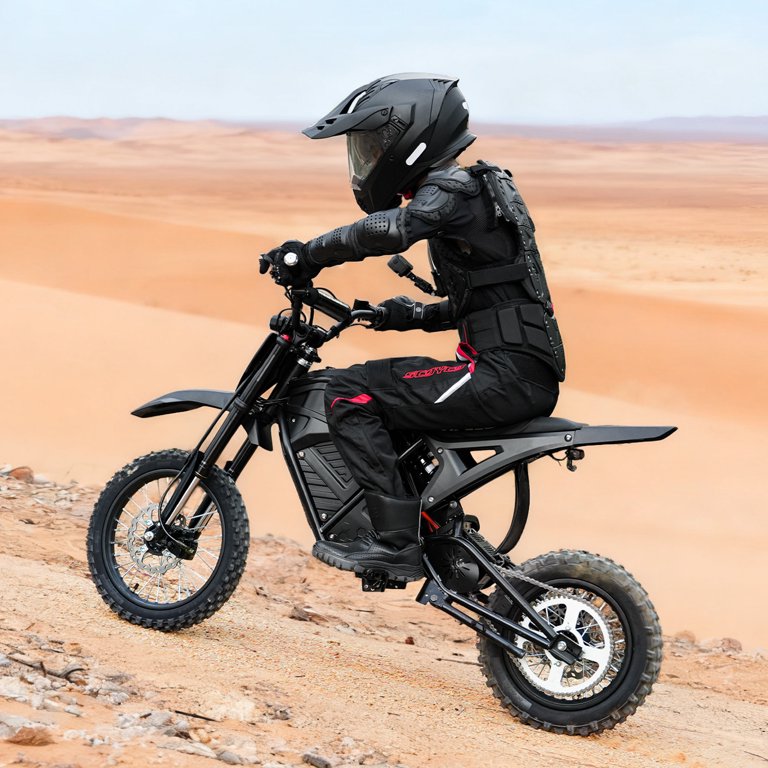 2025 NEW 3500W Electric Bike for Adults,Adult Electric Bicycles