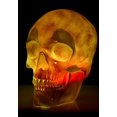 thumbnail image 2 of Oversized Skull Lantern Decoration, 2 of 11