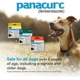 thumbnail image 2 of Panacur C Canine Dewormer (Fenbendazole), 4 Gram, 2 of 6