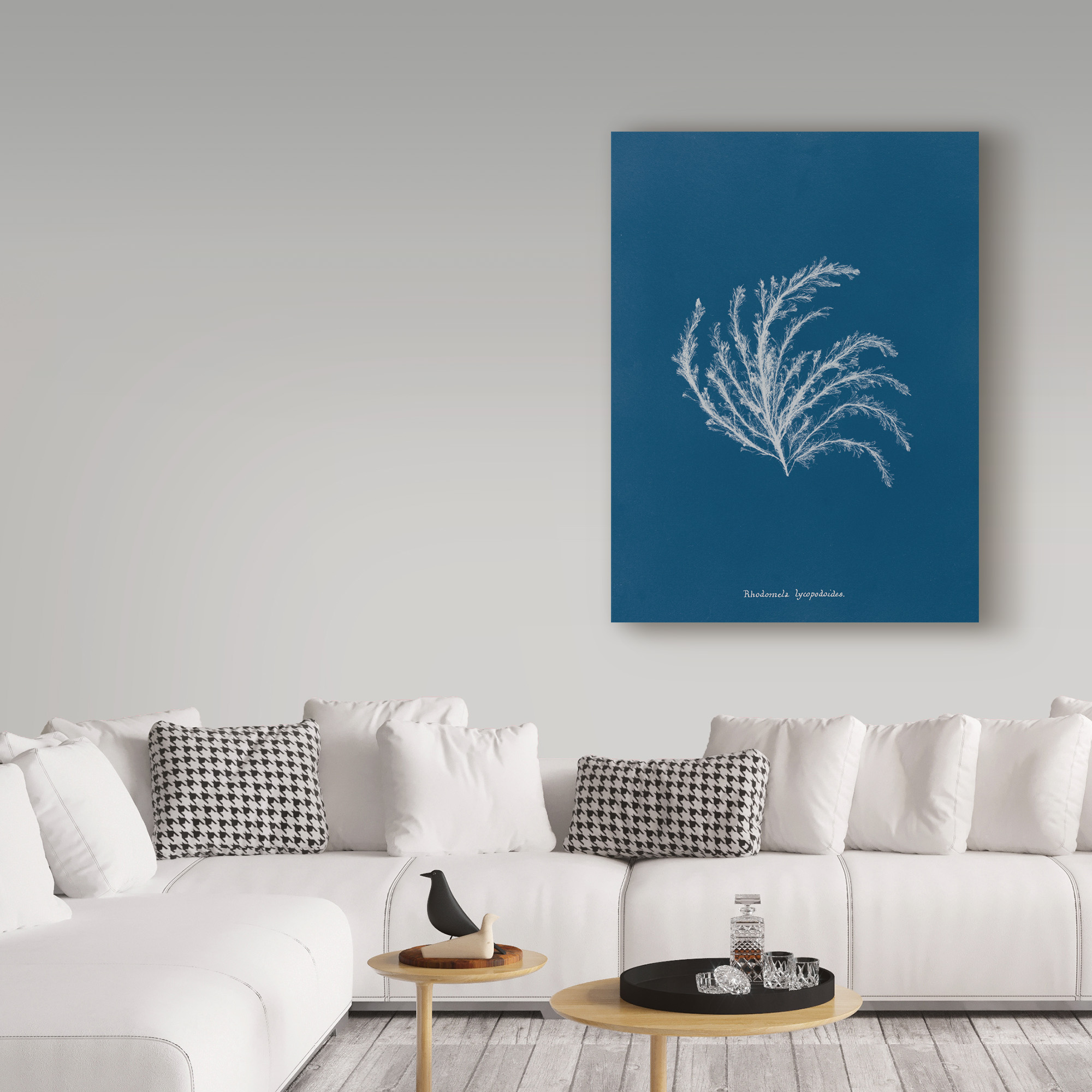 Trademark Fine Art 'Delicate Coral II' Canvas Art by Wild Apple Portfolio
