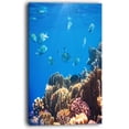 thumbnail image 2 of Bright Blue Waters and Coral Fish, 2 of 3